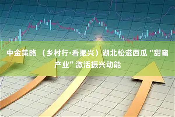 中金策略 （乡村行·看振兴）湖北松滋西瓜“甜蜜产业”激活振兴动能