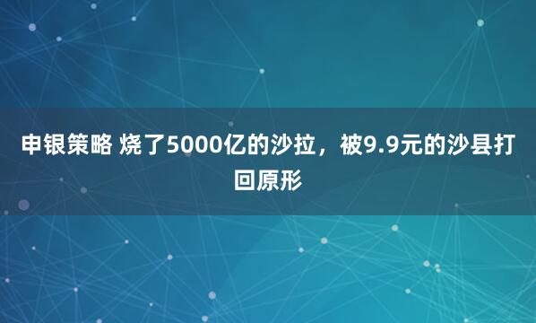申银策略 烧了5000亿的沙拉，被9.9元的沙县打回原形