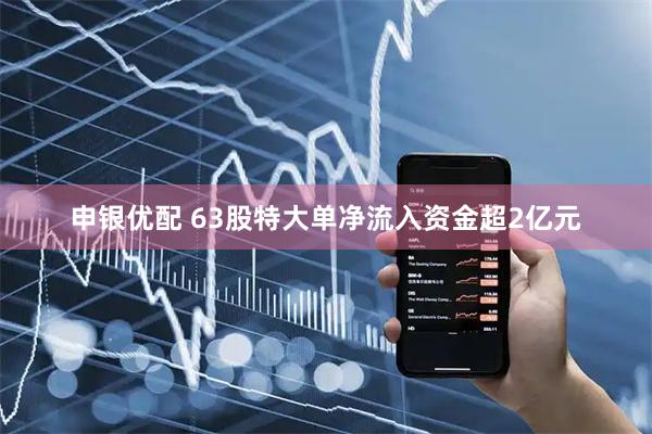 申银优配 63股特大单净流入资金超2亿元