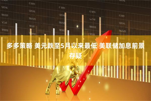 多多策略 美元跌至5月以来最低 美联储加息前景存疑
