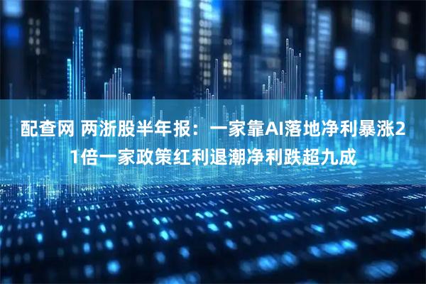 配查网 两浙股半年报：一家靠AI落地净利暴涨21倍一家政策红利退潮净利跌超九成