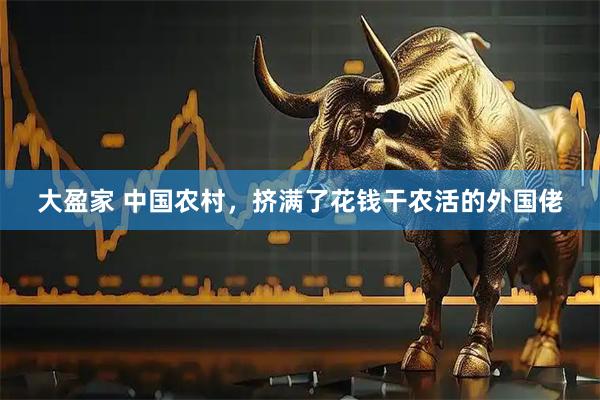 大盈家 中国农村，挤满了花钱干农活的外国佬